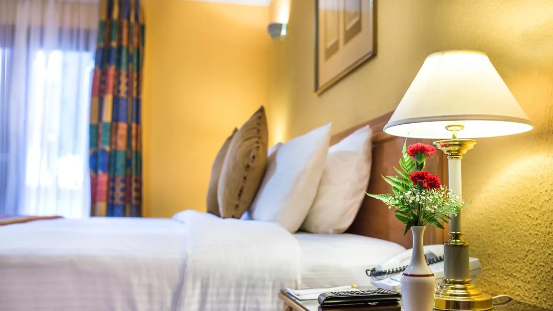 Marbella Resort Sharjah 4*,  Emirati Arabi Uniti